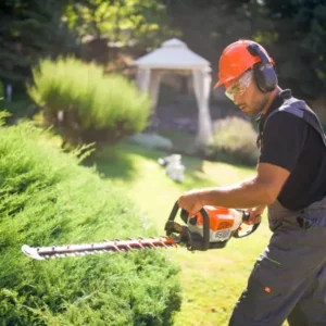 Jardinagem e Manutenção de Espaços Verdes
